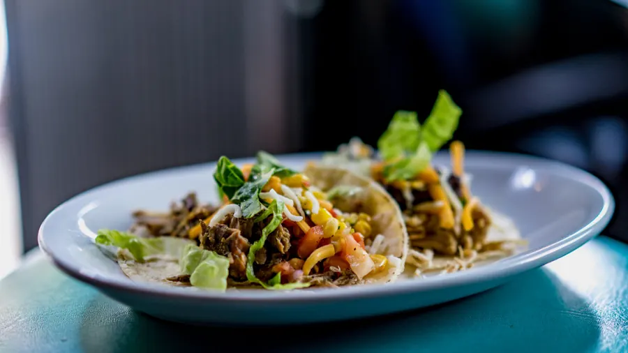 Sample image: Taco plate