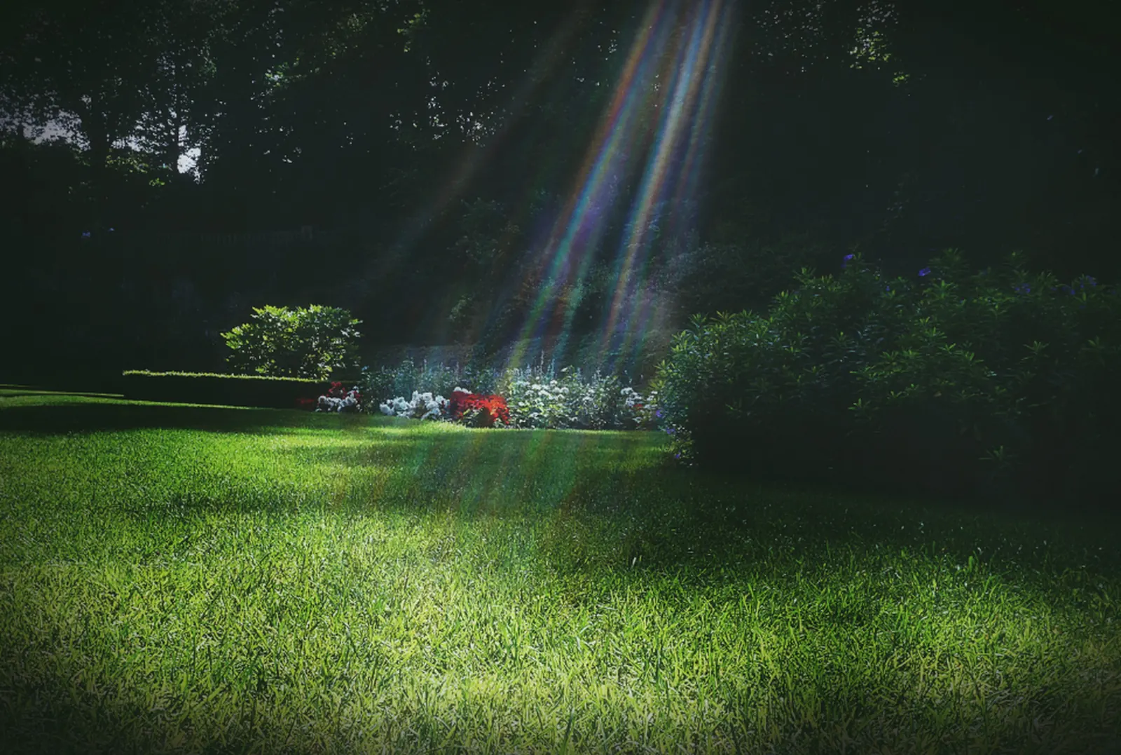 Sample image for lawn care and snow removal