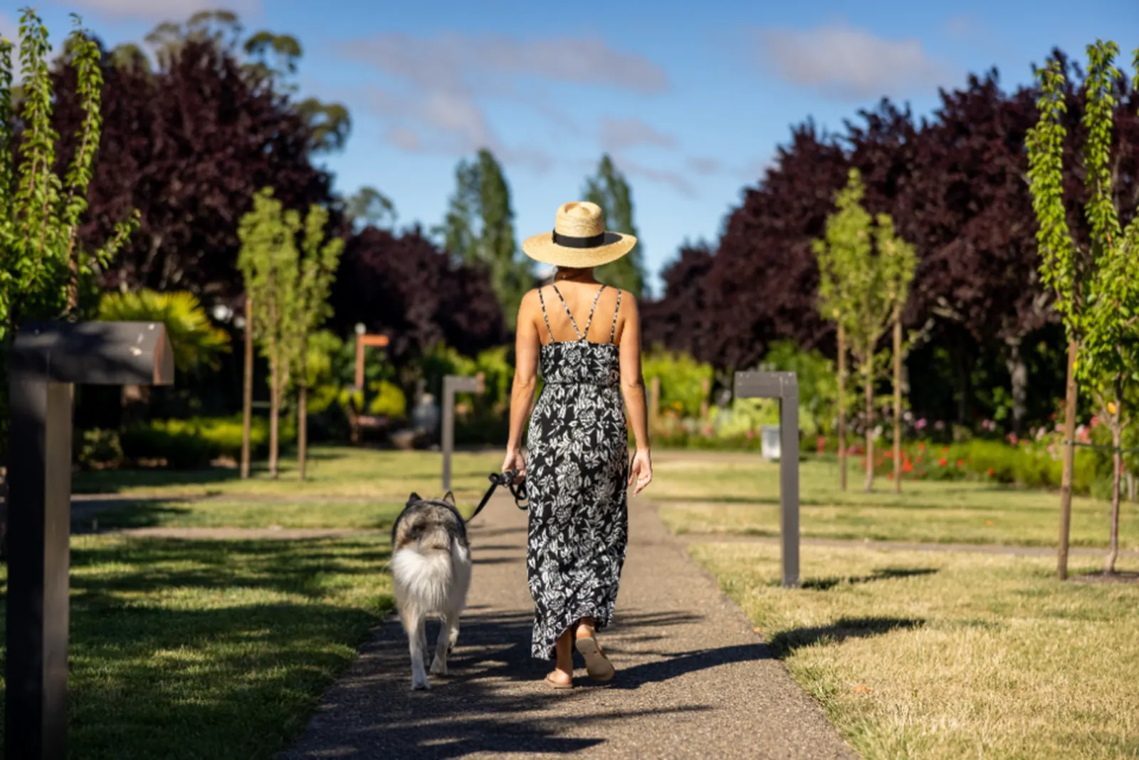 Sample image for dog trainer