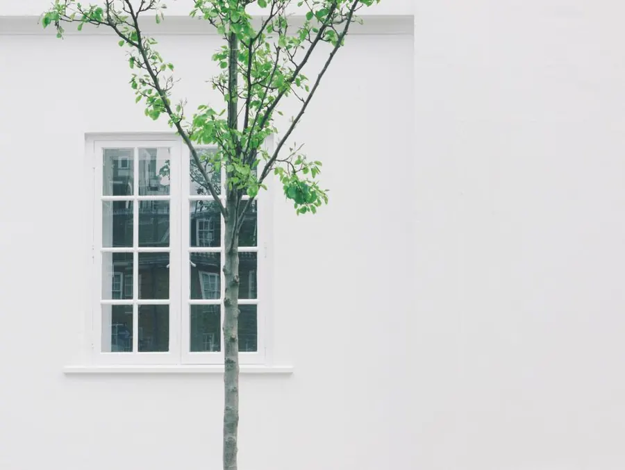 Sample image: Windows and walls