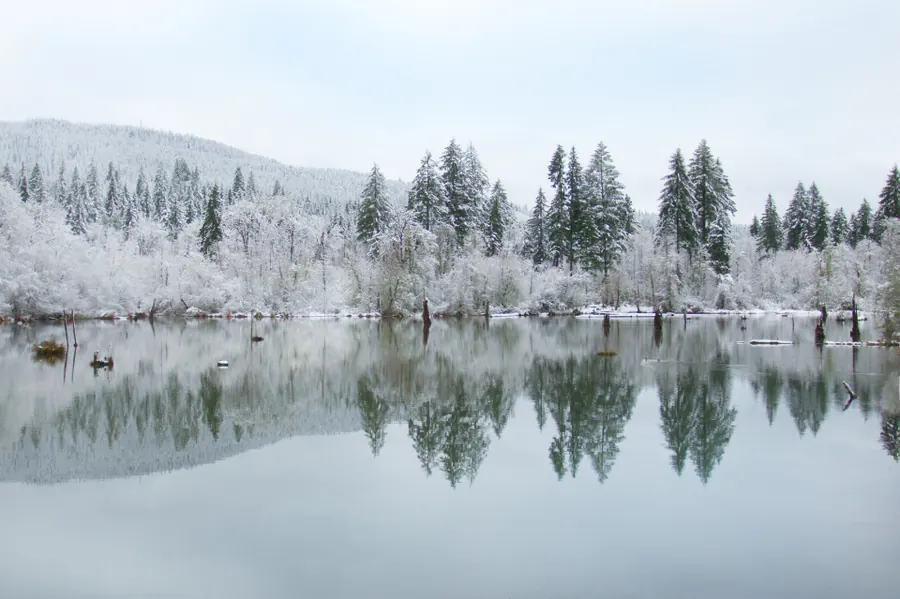 Sample image: The lake in winter