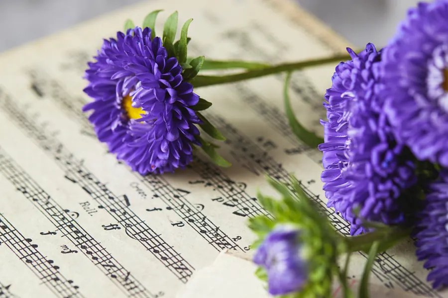 Sample image: Recital season
