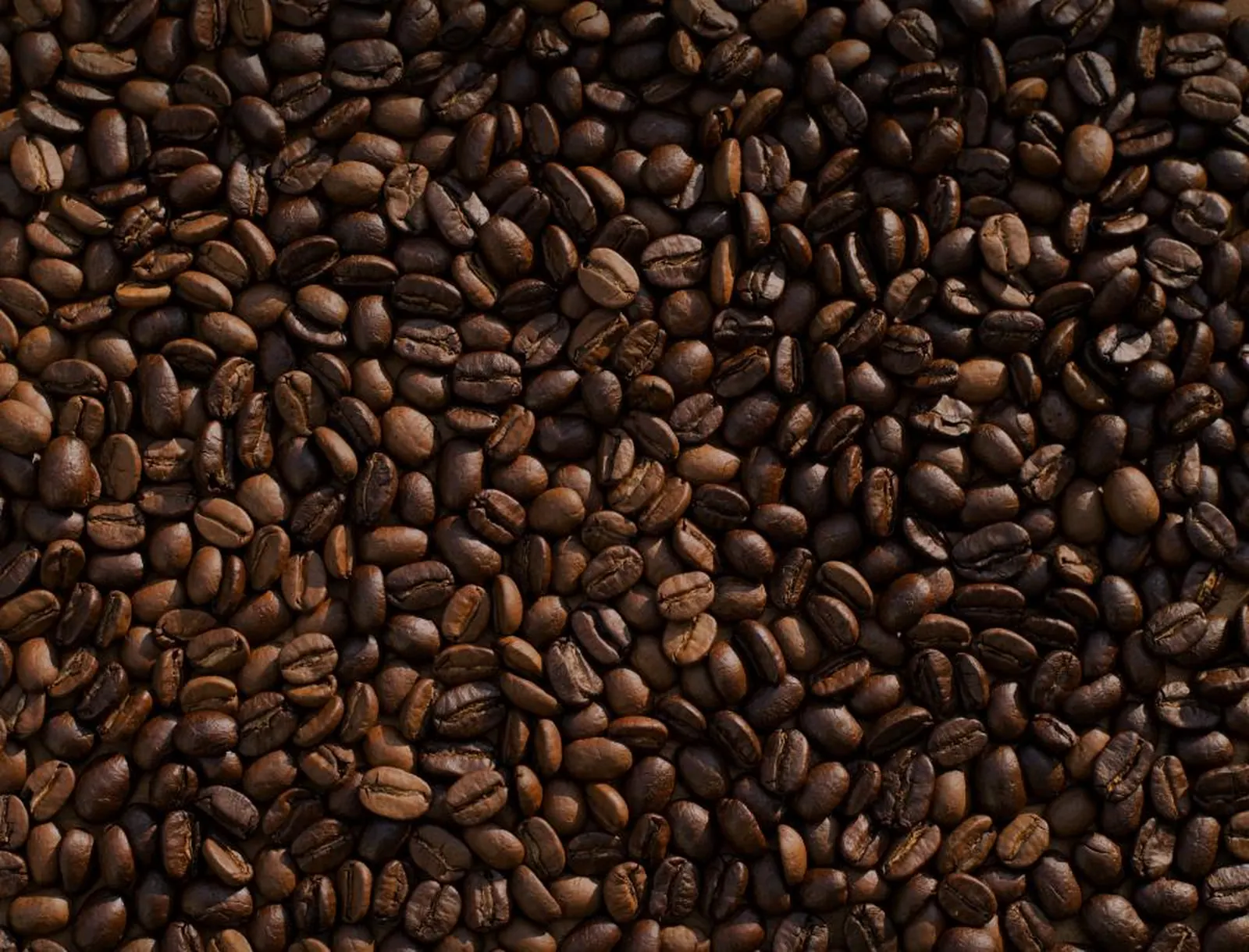 Sample image for coffee roaster (online shop)