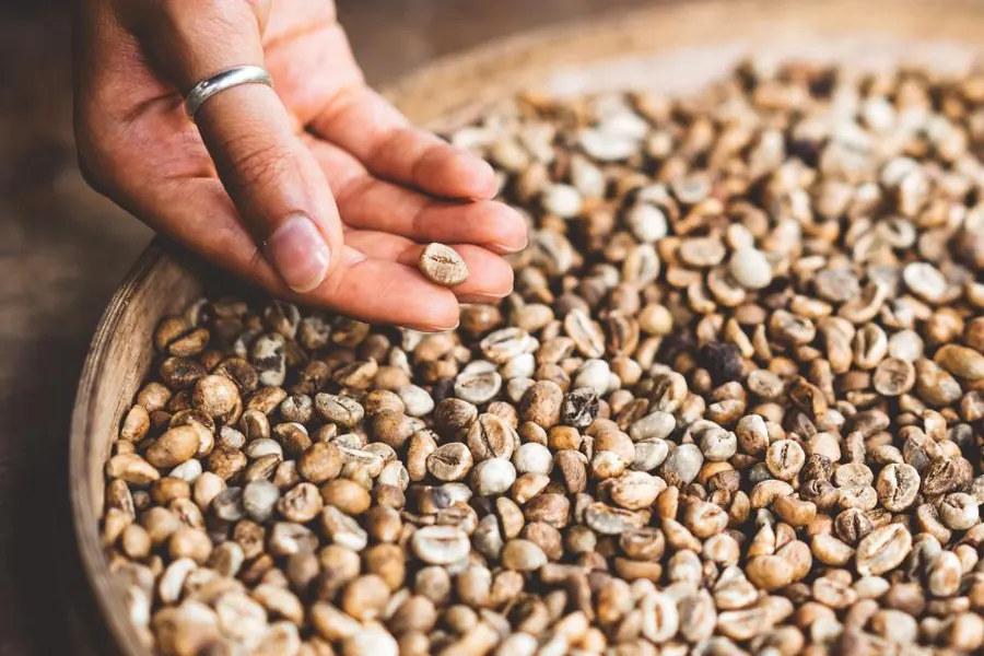 Sample image: Ethiopia Light Roast