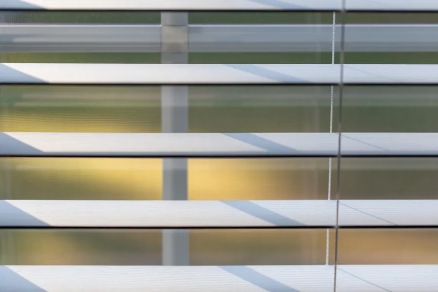 Sample image: Light-filtering blinds