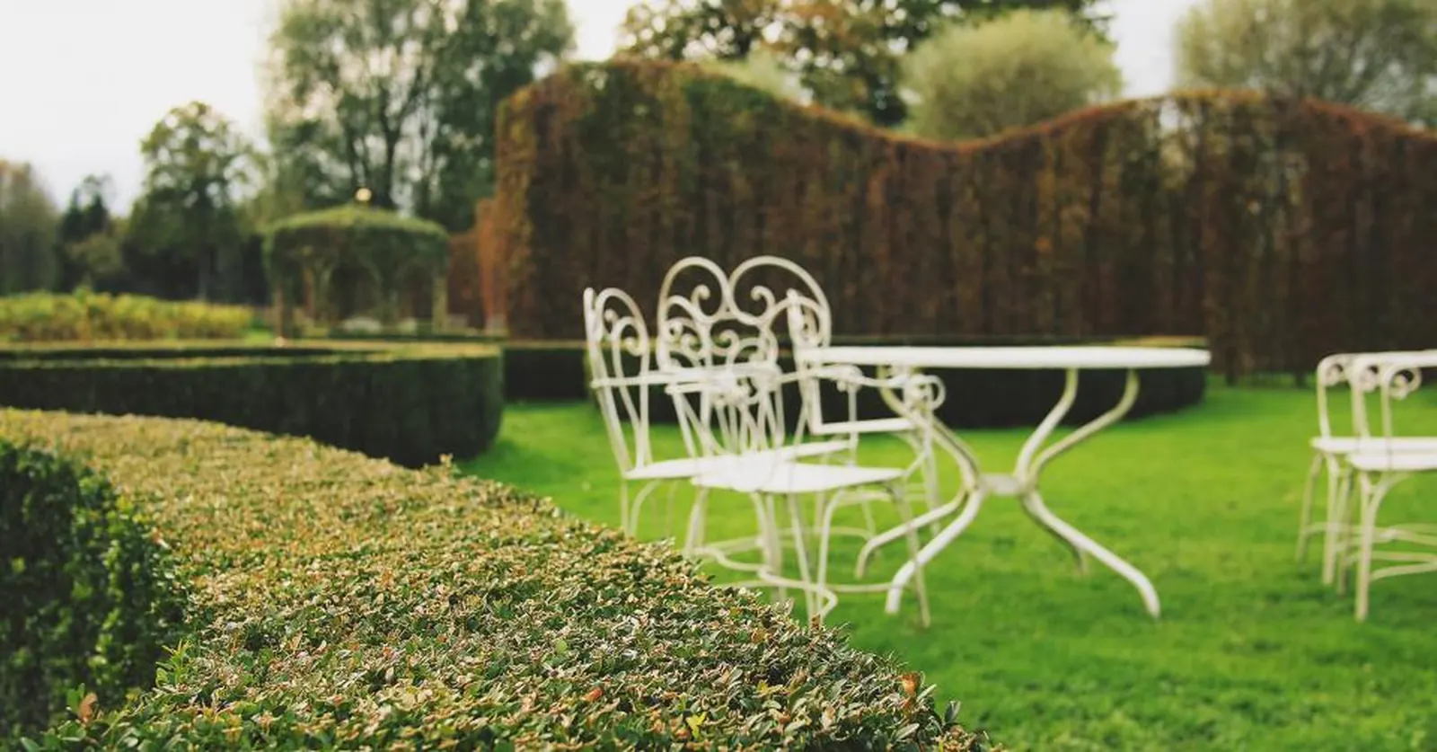 Sample image for landscaping