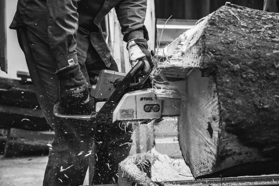 Sample image: Tree removal
