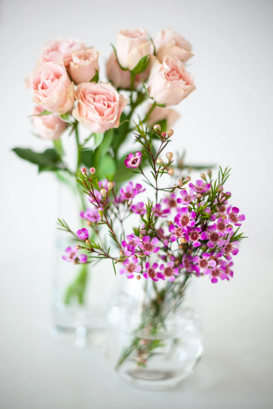 Sample image: Dozen roses in a vase