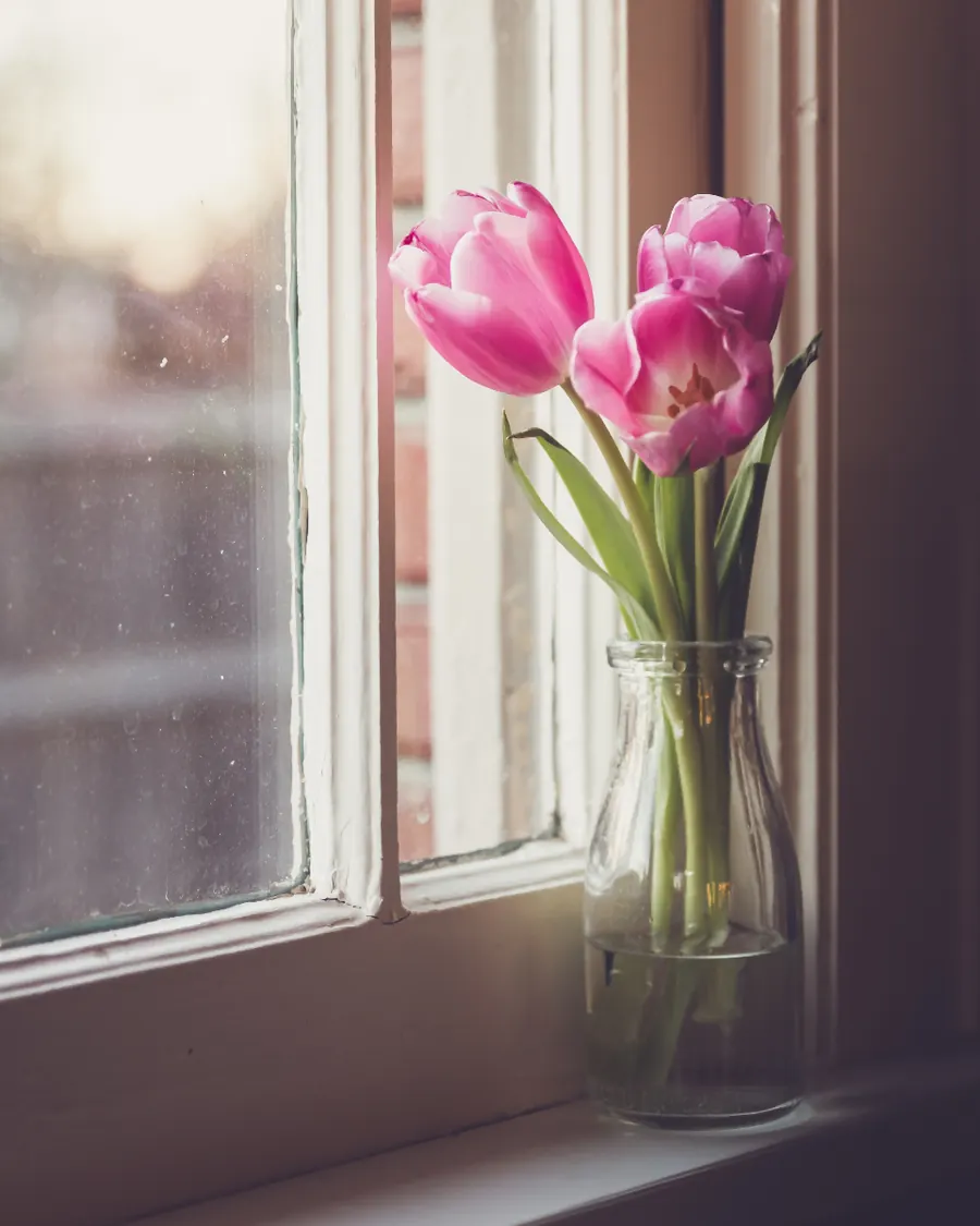 Sample image: Tulip bunch