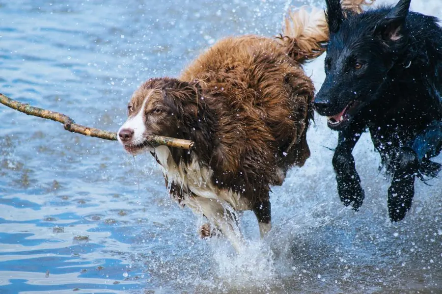 Sample image: Water play