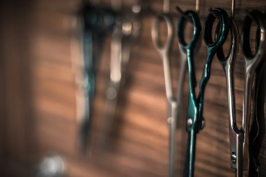 Sample image: The studio