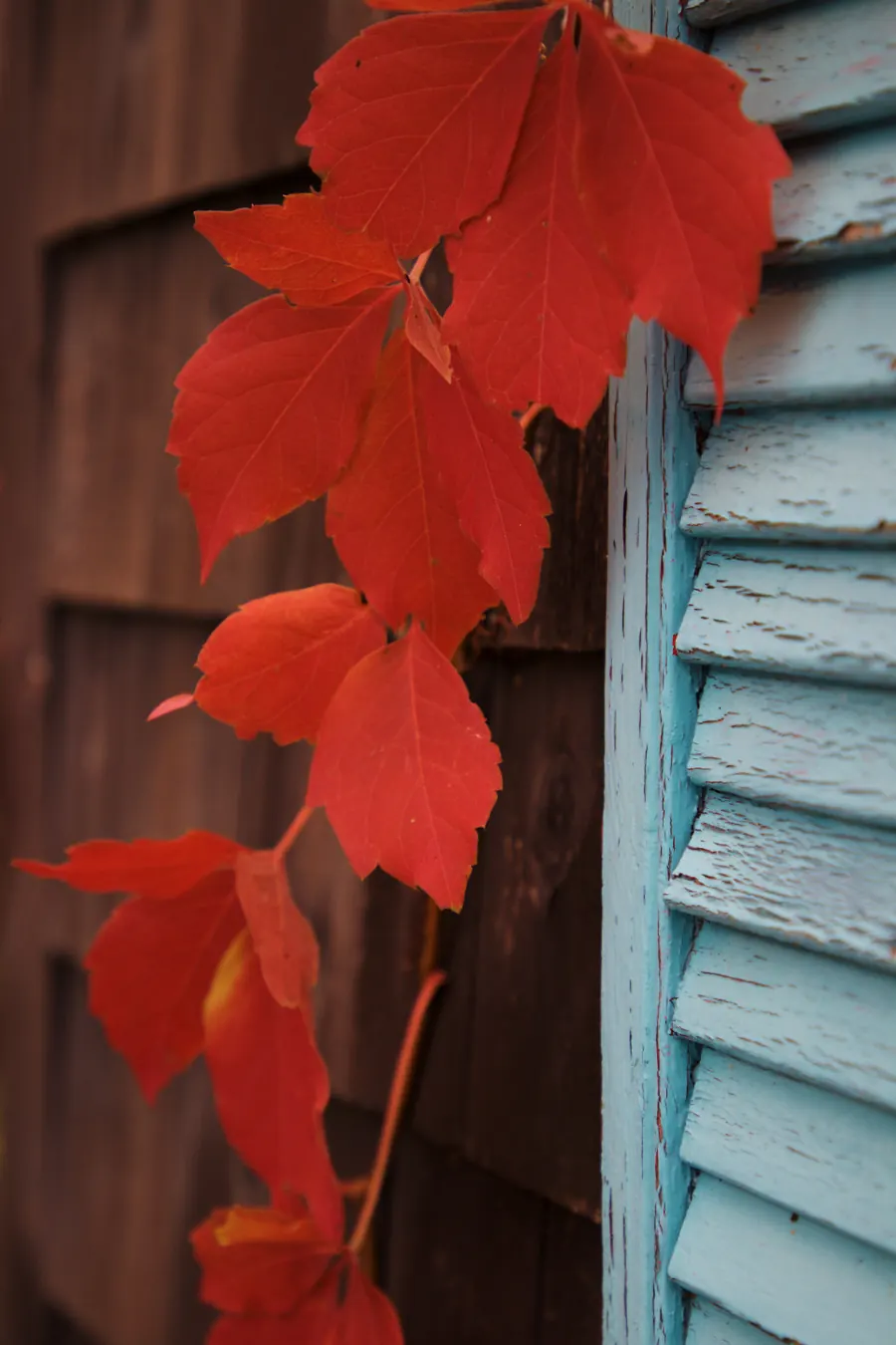 Sample image: Siding and entry points