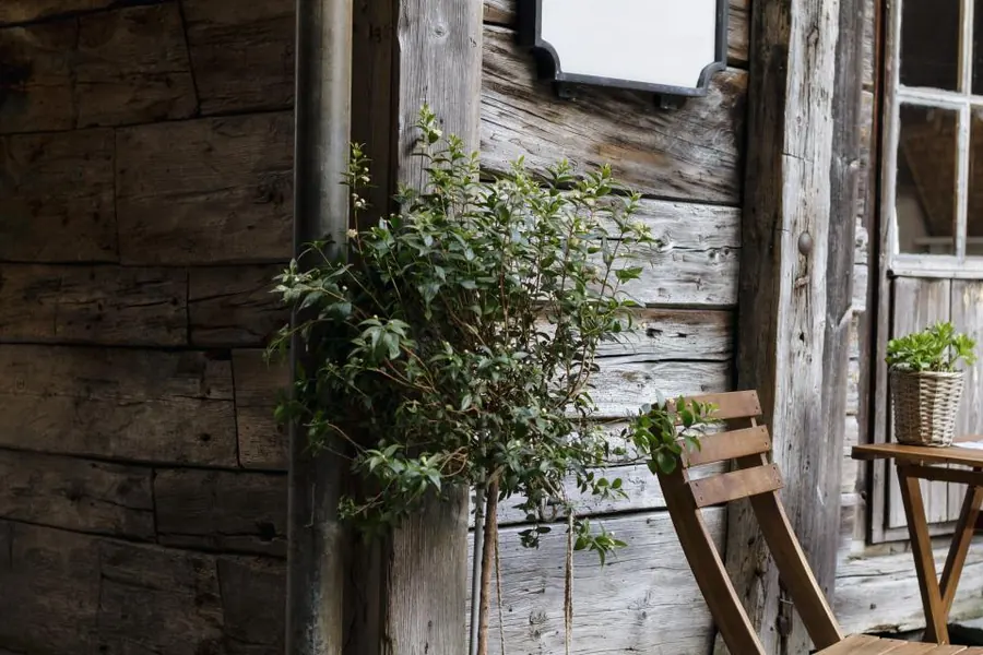 Sample image: The side garden