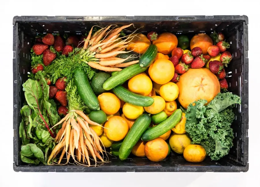 Sample image: Food first