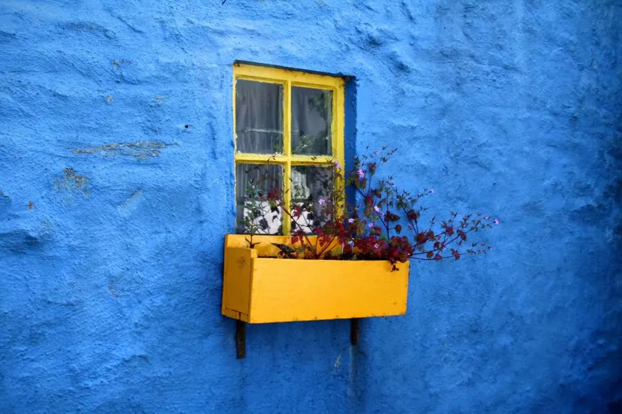 Sample image: Colour and trim