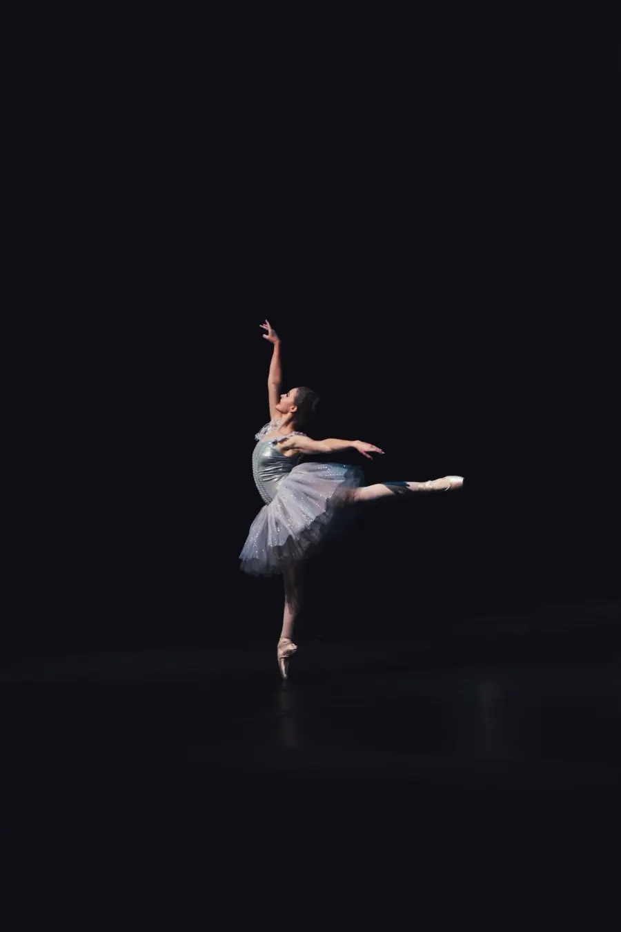 Sample image: Spring recital